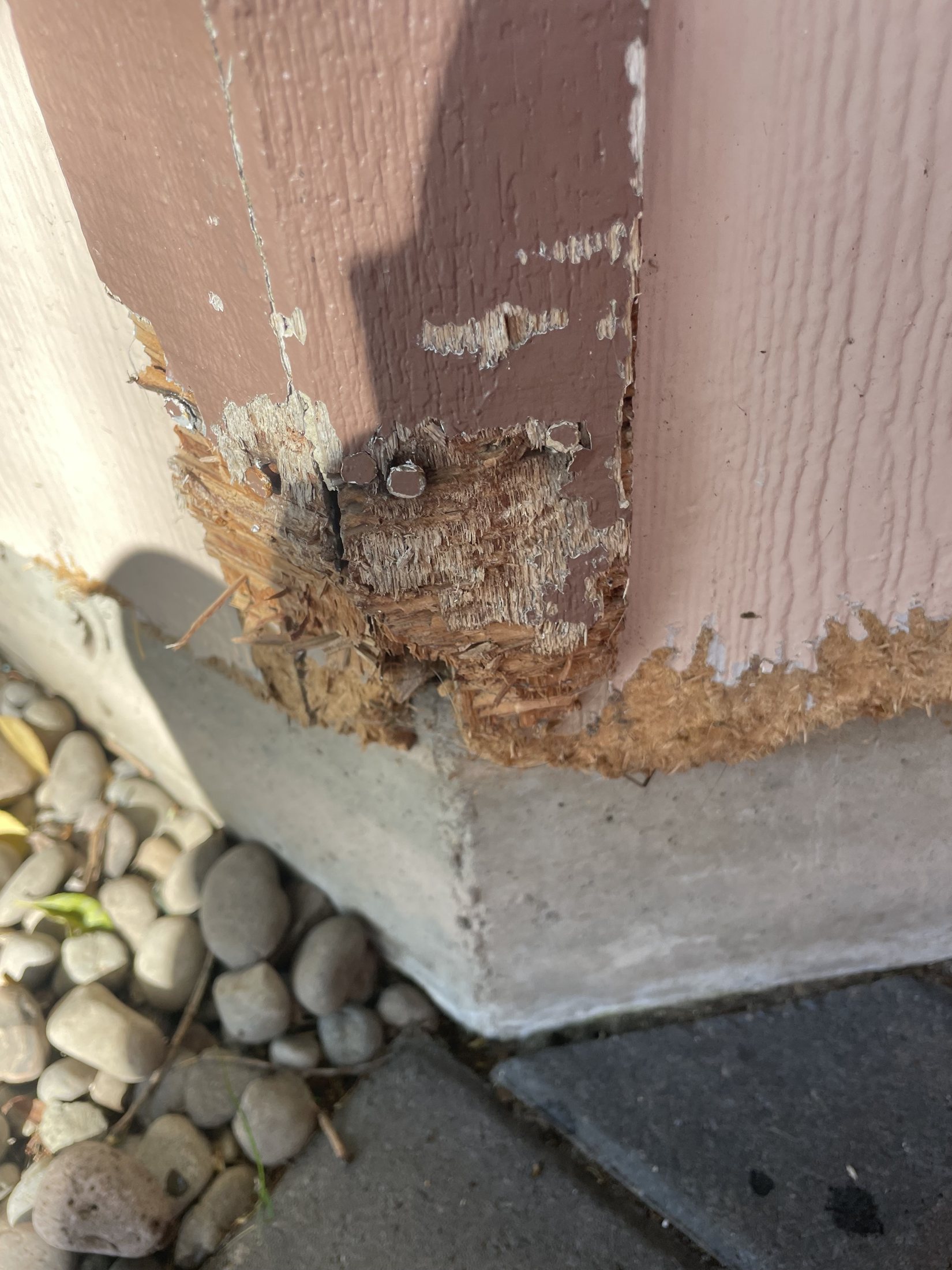 Dry rot before CPR Handyman repair Dry rot before CPR Handyman repair